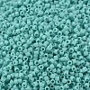 MIYUKI Delica Beads SEED-J020-DB1136-2
