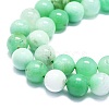 Natural Chrysoprase Beads Strands G-K245-A12-07-3