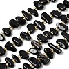 Natural Black Tourmaline Beads Strands G-L649-A03-01-2
