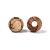 Natural Picture Jasper Beads G-Q602-08A-09-2
