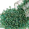 TOHO Round Seed Beads SEED-JPTR08-0755-1