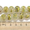 Handmade Lampwork Beads Strands LAMP-L079-05H-4