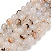 Natural Dendritic Agate Beads Strands G-A248-A07-02-2