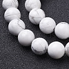 Natural Howlite Beads Strands GSR12mmC015-2