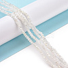 Half Plated Faceted Rondelle Electroplate Imitation Jade Glass Bead Strands X-EGLA-D020-3x2mm-05-5