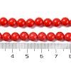 Synthetic Turquoise Beads Strands G-L605-G01-01B-5