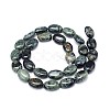 Natural Kambaba Jasper Beads Strands G-M206-17-2