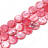 Freshwater Shell Beads SHEL-S274-13B-1