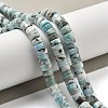 Natural Larimar Beads Strands G-Q024-B03-05-2