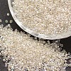 6/0 Round Glass Seed Beads SEED-J017-F6-662-1