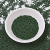 MIYUKI Delica Beads SEED-X0054-DB0797-2