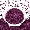 Baking Paint Glass Seed Beads GLAA-Q119-01-B05-2