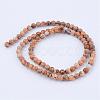 Natural Picture Jasper Beads Strands G-Q462-4mm-35-2