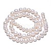 Natural Cultured Freshwater Pearl Beads Strands PEAR-N014-07B-2