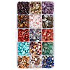15 Styles Natural & Synthetic Mixed Gemstone Chip Beads G-PA0001-99-1