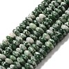 Natural Green Spot Beads Strands G-Z030-A03-01-1