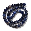 Natural South Africa Sodalite Beads Strands G-S259-35-8mm-7