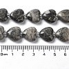 Natural Map Stone Beads Strands G-E614-A07-01-4