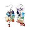 Gemstone Chip Beaded Dangle Earrings EJEW-I264-01P-03-2