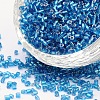 Two Cut Glass Seed Beads CSDB23B-1