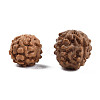 Undyed Natural Rudraksha Beads WOOD-T030-01-3