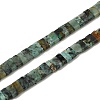 Natural African Turquoise (Jasper) Beads Strands G-Z045-A10-01-1