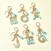 Transparent Epoxy Resin Pendant Keychains KEYC-FS00022-07-11