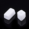 6/0 Glass Seed Beads SEED-S026-01A-05-2