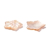 Sea Shell Cabochons SSHEL-C008-09-3