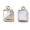 Natural Freshwater Shell Charms X-SHEL-N026-147-2
