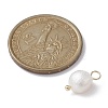 Natural Pearl Potato Charms PALLOY-JF02199-03-3