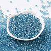 6/0 Glass Seed Beads SEED-T006-04C-06-2