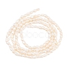 Natural Cultured Freshwater Pearl Beads Strands PEAR-D003-01D-02-3