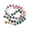 6 Styles Opalite & Synthetic Malachite & Natural Picture Jasper & Rhodonite & Green Spot Jasper & Dragon Blood Jasper Beads Strands G-D095-A03-4