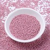 MIYUKI Delica Beads X-SEED-J020-DB1906-2