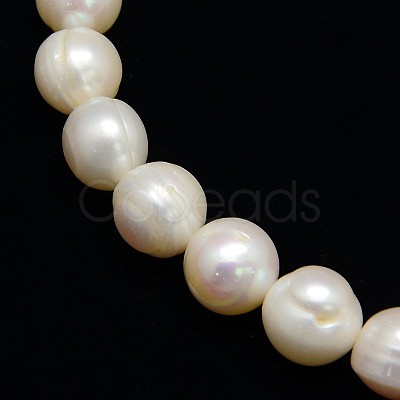 Natural Cultured Freshwater Pearl Beads Strands PEAR-L001-B-07-01-X-1