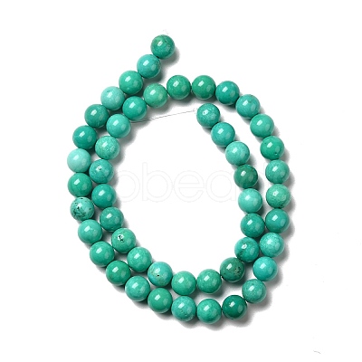 Dyed & Heated Natural Magnesite Beads Strands G-G924-01A-01-1