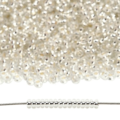 TOHO 6/0 Demi Round Beads X-SEED-DR06-PF21-1