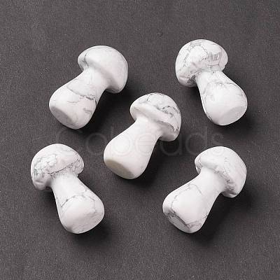 Natural Howlite GuaSha Stone G-A205-25Y-1