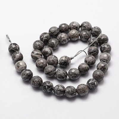 Natural Map Stone/Picasso Stone/Picasso Jasper Beads Strands X-G-D840-35-6mm-1