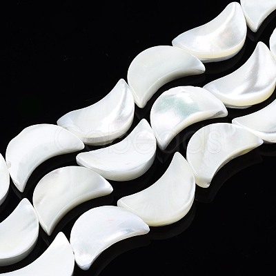 Natural Trochid Shell/Trochus Shell Beads Strands SSHEL-N034-97B-B01-1