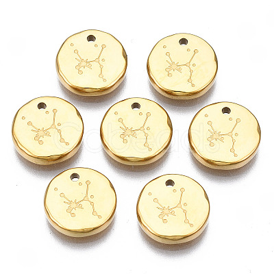 316 Surgical Stainless Steel Charms STAS-S116-418G-G-1