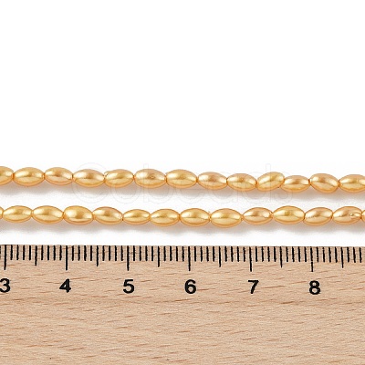 Electroplated Shell Pearl Beads Strands BSHE-Z009-10B-01-1