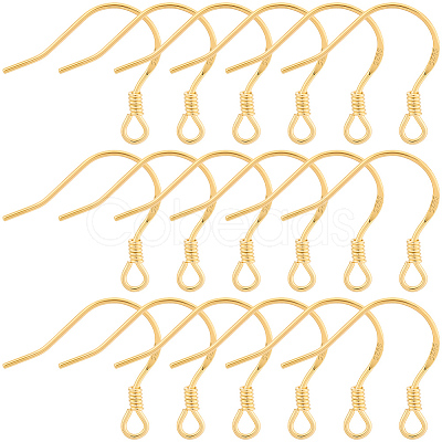 10Pairs 925 Sterling Silver Earring Hooks STER-BBC0008-93G-1