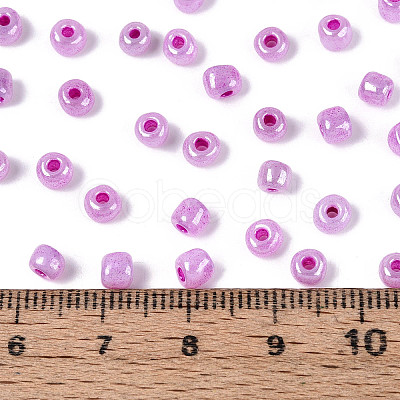 DIY Craft Beads 6/0 Ceylon Round Glass Seed Beads X-SEED-A011-4mm-150-1