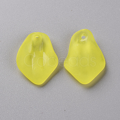 Transparent Frosted Acrylic Pendants MACR-S371-03A-717-1