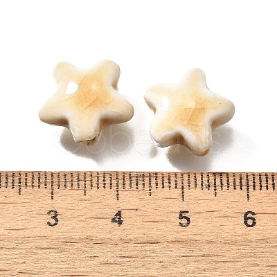 Handmade Porcelain Beads PORC-H013-05-23-1