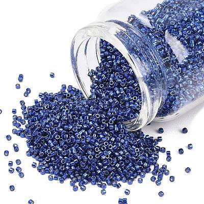 MIYUKI Delica Beads LS-X-SEED-J020-DB2511-1