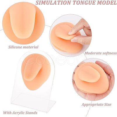Soft Silicone Tongue Flexible Model Body Part Displays with Acrylic Stands ODIS-WH0002-23-1