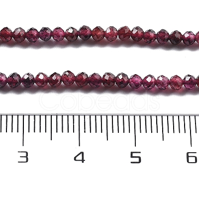 Natural Garnet Beads Strands G-H079-A01-02B-1